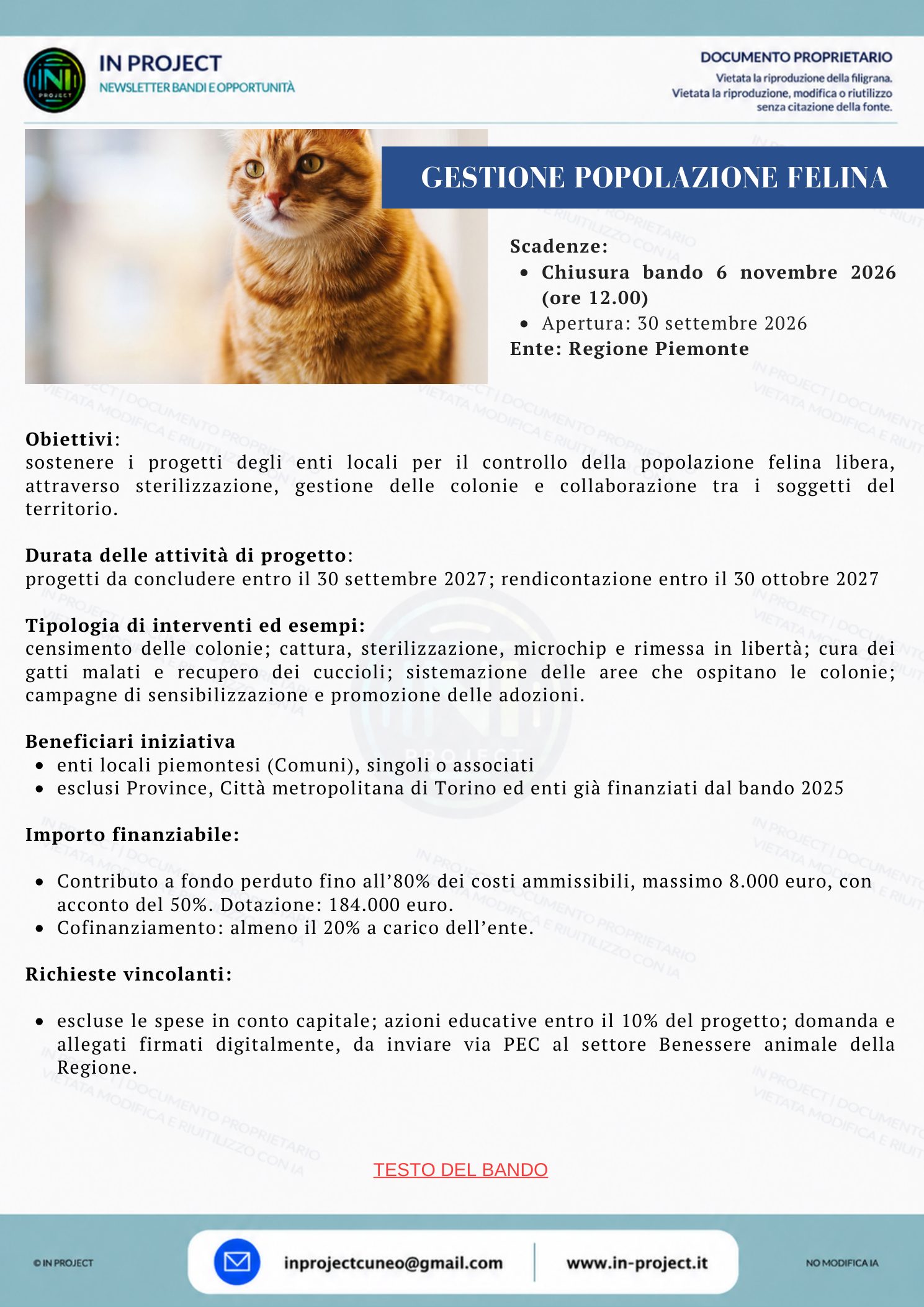 Regione Piemonte — Gestione della popolazione felina negli enti locali (scadenza bando 6 novembre 2026)